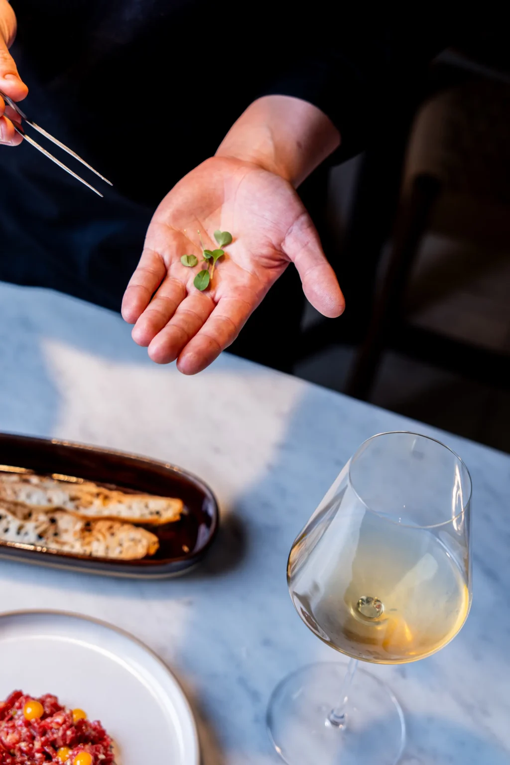 carrusel-cipresaia-5